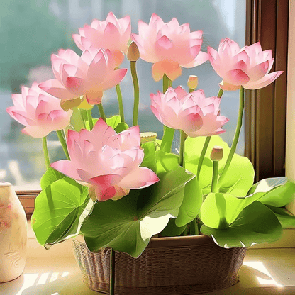 💐Chikalabs The Sacred Bonsai Bowl Lotus Flower