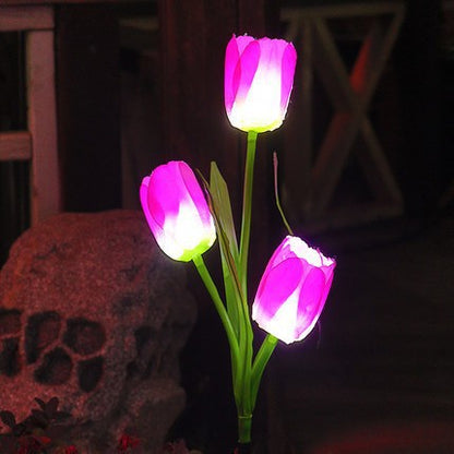 Chikalabs Solar-Blumenlichter für den Garten im Freien