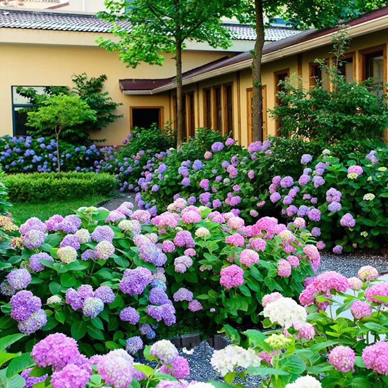 💥Chikalabs Outdoor Garden Decor Artificial Hydrangea Flowers💐