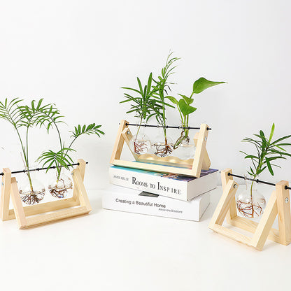 Stations pivotantes de propagation de plantes Chikalabs pour terrarium en verre