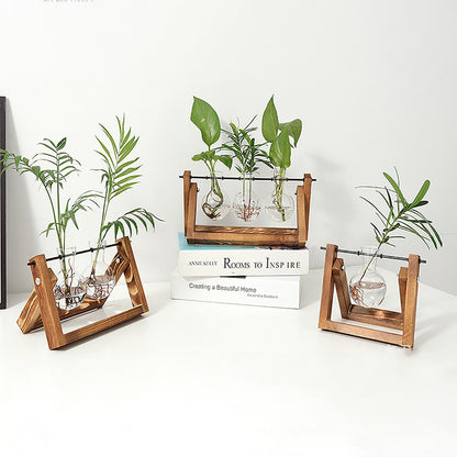 Stations pivotantes de propagation de plantes Chikalabs pour terrarium en verre