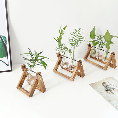 Stations pivotantes de propagation de plantes Chikalabs pour terrarium en verre