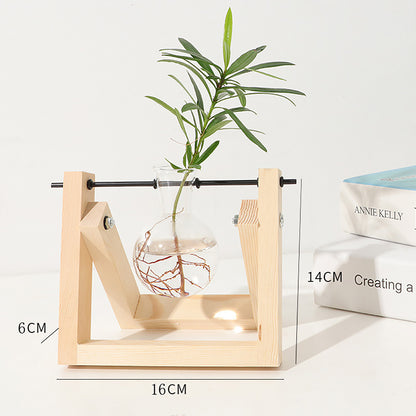 Stations pivotantes de propagation de plantes Chikalabs pour terrarium en verre