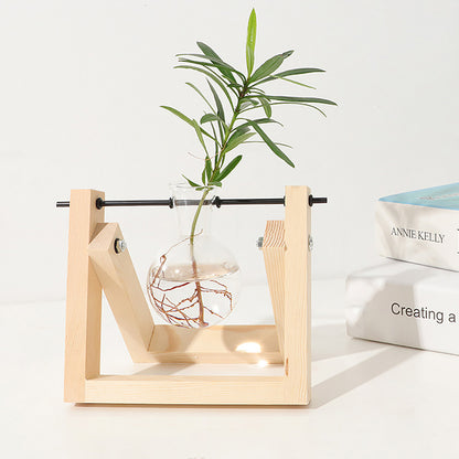 Stations pivotantes de propagation de plantes Chikalabs pour terrarium en verre