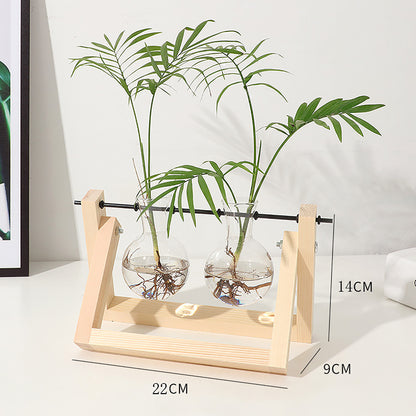 Stations pivotantes de propagation de plantes Chikalabs pour terrarium en verre