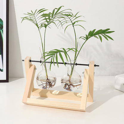 Stations pivotantes de propagation de plantes Chikalabs pour terrarium en verre