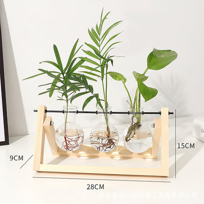Stations pivotantes de propagation de plantes Chikalabs pour terrarium en verre