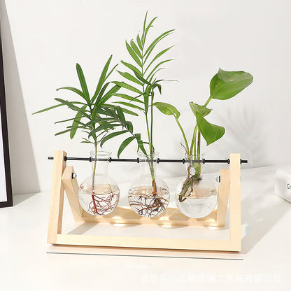 Stations pivotantes de propagation de plantes Chikalabs pour terrarium en verre