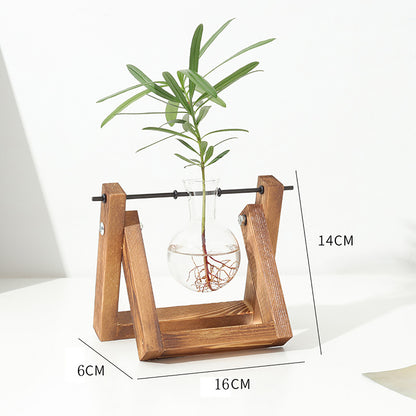 Stations pivotantes de propagation de plantes Chikalabs pour terrarium en verre
