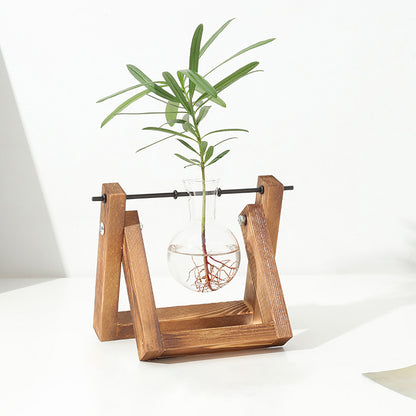 Stations pivotantes de propagation de plantes Chikalabs pour terrarium en verre
