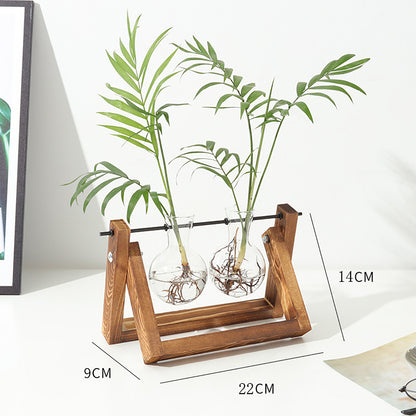 Stations pivotantes de propagation de plantes Chikalabs pour terrarium en verre