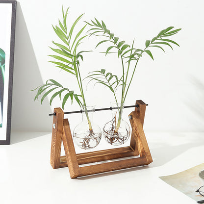Stations pivotantes de propagation de plantes Chikalabs pour terrarium en verre