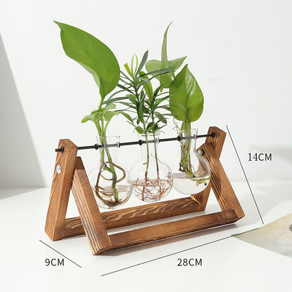 Stations pivotantes de propagation de plantes Chikalabs pour terrarium en verre