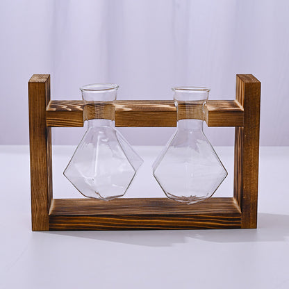 Chikalabs Plant Propagation Stations Glass Terrarium