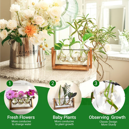 Stations pivotantes de propagation de plantes Chikalabs pour terrarium en verre