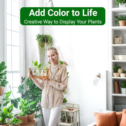 Stations pivotantes de propagation de plantes Chikalabs pour terrarium en verre