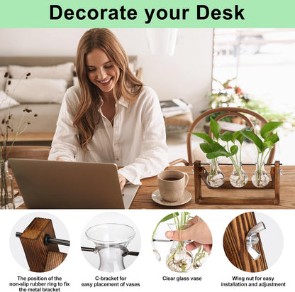 Stations pivotantes de propagation de plantes Chikalabs pour terrarium en verre