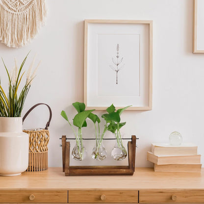 Stations pivotantes de propagation de plantes Chikalabs pour terrarium en verre