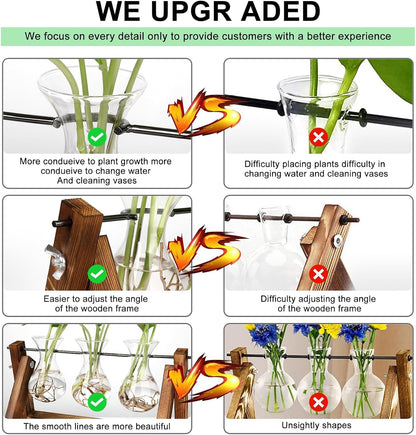 Stations pivotantes de propagation de plantes Chikalabs pour terrarium en verre