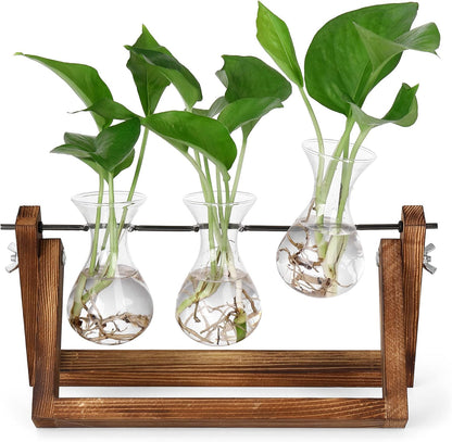 Stations pivotantes de propagation de plantes Chikalabs pour terrarium en verre