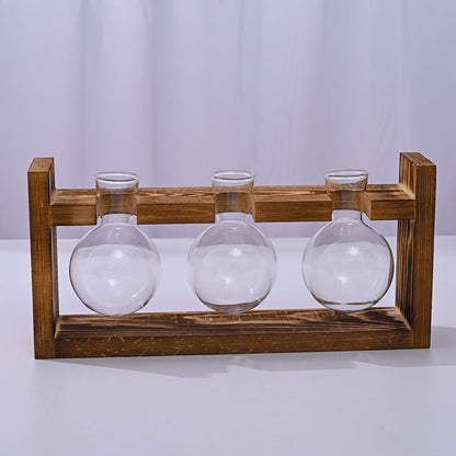 Chikalabs Plant Propagation Stations Glass Terrarium