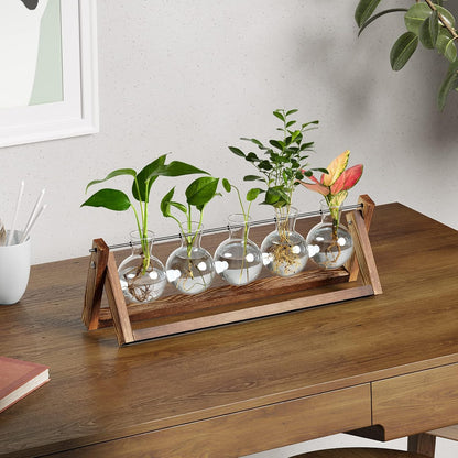 Chikalabs 5 Bulbs Plant Propagation Swing Stations Glass Terrarium