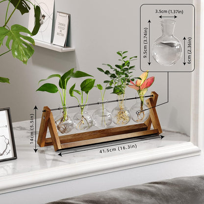 Chikalabs 5 Bulbs Plant Propagation Swing Stations Glass Terrarium