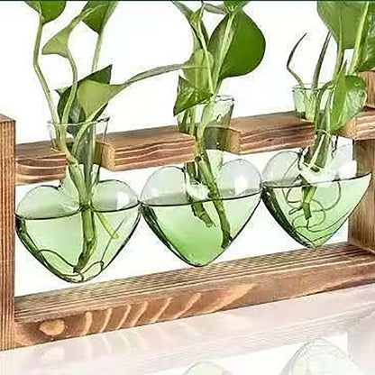 Chikalabs Green Heart Plant Propagation Stations Glass Terrarium