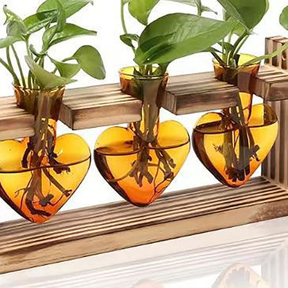 Chikalabs Brown Heart Pflanzenvermehrungsstationen Glasterrarium