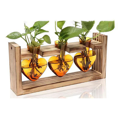 Chikalabs Brown Heart Pflanzenvermehrungsstationen Glasterrarium