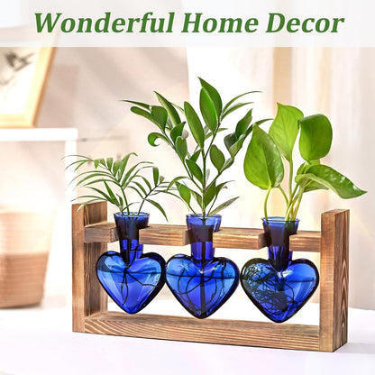 Chikalabs Blue Heart Plant Propagation Stations Glass Terrarium