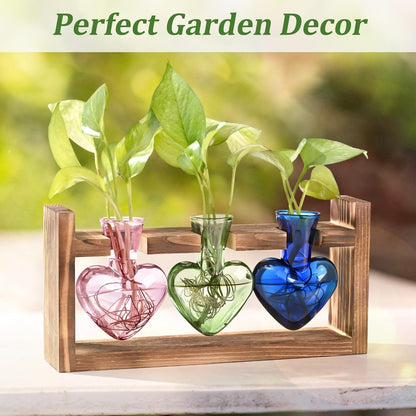 Chikalabs Colorful Plant Propagation Stations Glass Terrarium