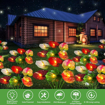 💐Chikalabs Anthurium Flowers Garden Solar Lights 2 Pack-16 Flowers