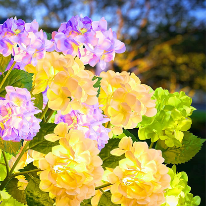 💐Chikalabs Gartenrosen-Solarblumenlichter 