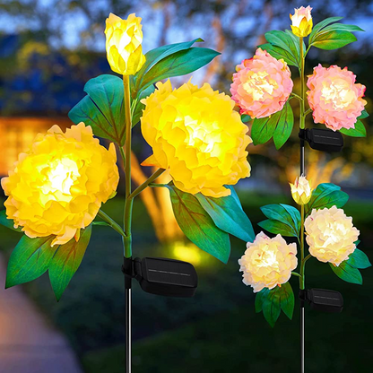 💐Chikalabs Gartenrosen-Solarblumenlichter 