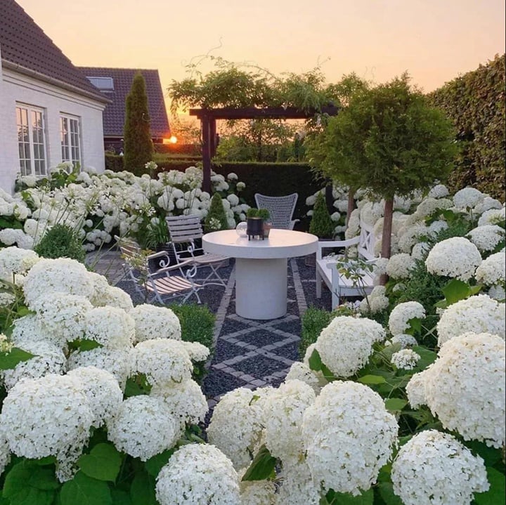 💥Chikalabs Outdoor Garden Decor Artificial Hydrangea Flowers💐
