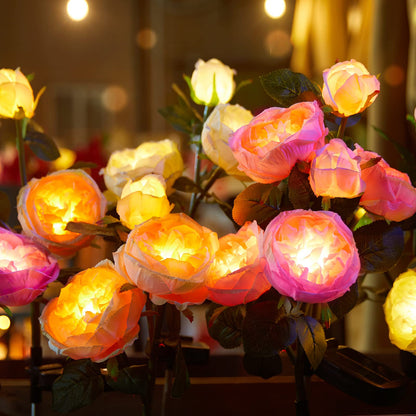 💐Chikalabs Gartenrosen-Solarblumenlichter 