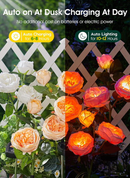 💐Chikalabs Gartenrosen-Solarblumenlichter 