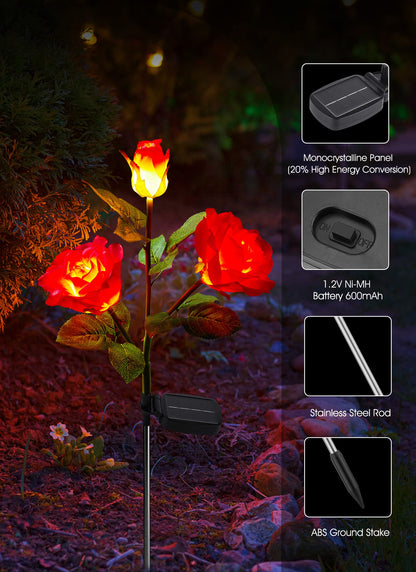💐Chikalabs Gartenrosen-Solarblumenlichter 