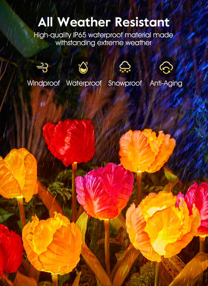 💐Chikalabs Gartenrosen-Solarblumenlichter 