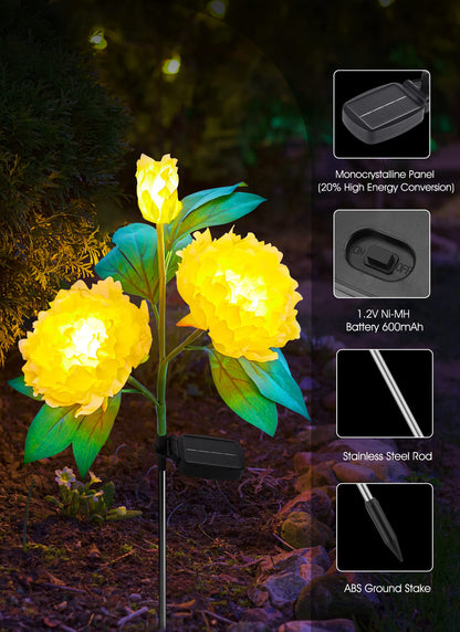 💐Chikalabs Gartenrosen-Solarblumenlichter 