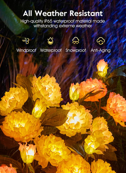 💐Chikalabs Gartenrosen-Solarblumenlichter 