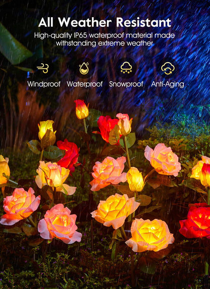💐Chikalabs Gartenrosen-Solarblumenlichter 