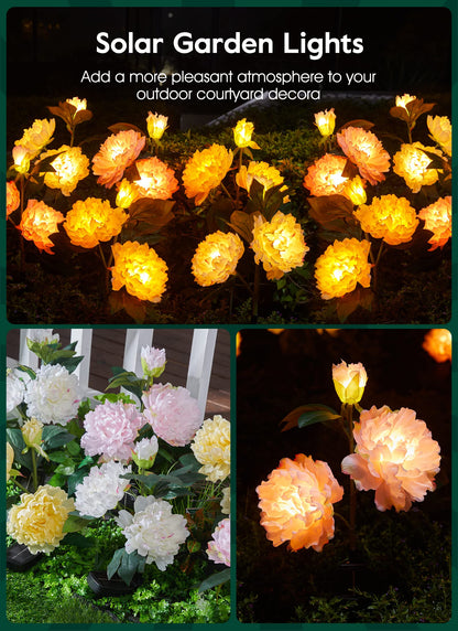 💐Chikalabs Gartenrosen-Solarblumenlichter 