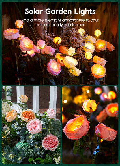 💐Chikalabs Gartenrosen-Solarblumenlichter 